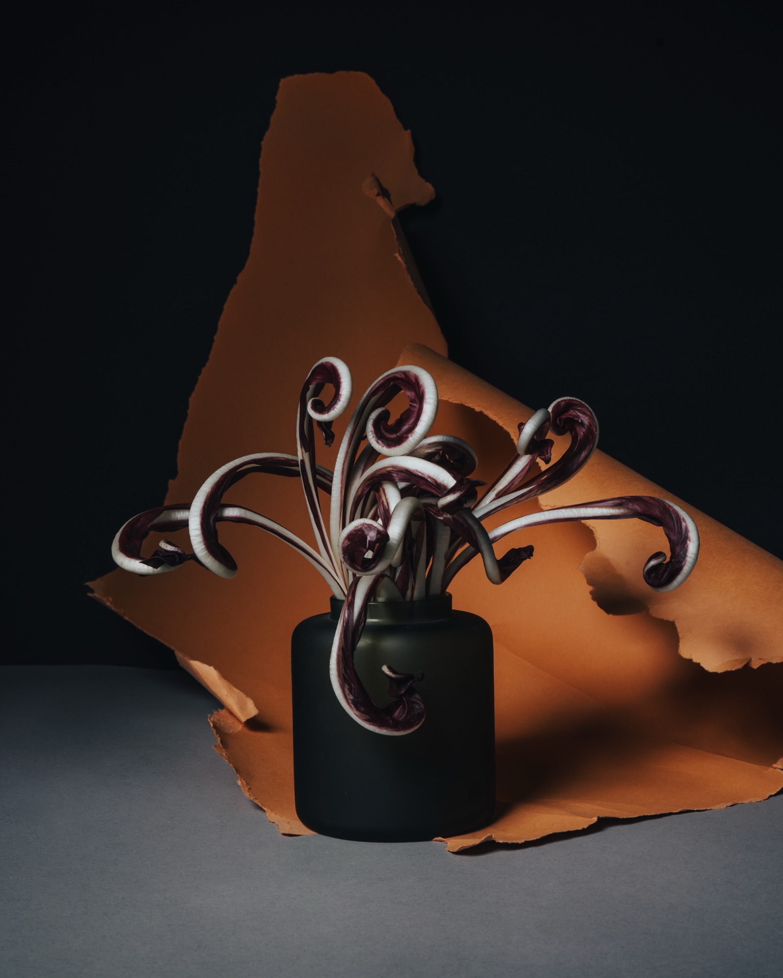 Still life prodotto — dettaglio ravvicinato con focus su texture e materiale